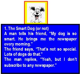 dog smart